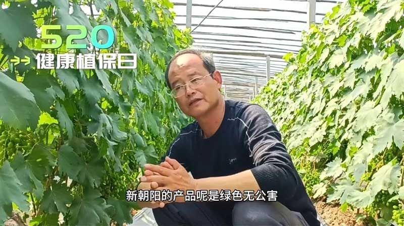 520健康植保日——擁抱綠色農(nóng)業(yè)，我們在行動